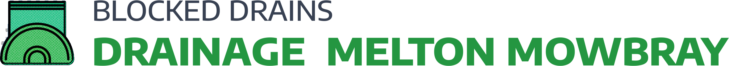 website logo
